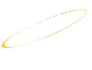 Miss Ross Inc
